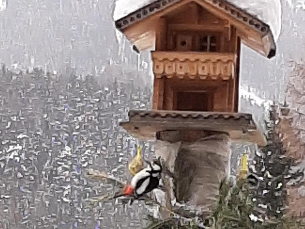 Pension Fuerhapter Mit Bio- Bauernhof Sankt Jakob in Defereggen Luaran gambar