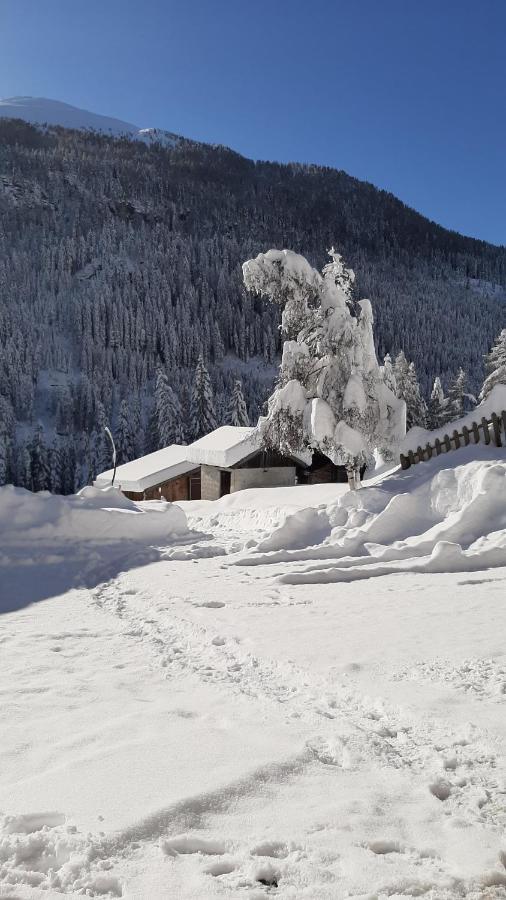 Pension Fuerhapter Mit Bio- Bauernhof Sankt Jakob in Defereggen Luaran gambar